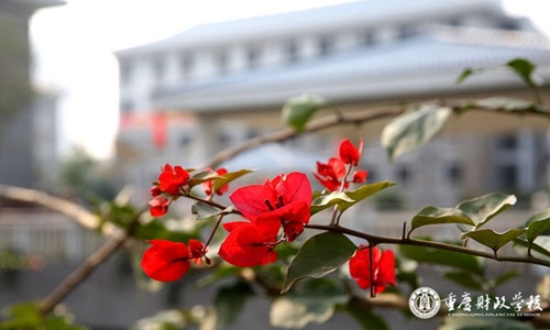重庆财政学校运动场