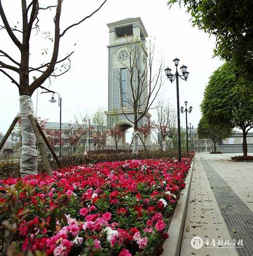 重庆财政学校运动场