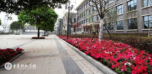 重庆财政学校运动场
