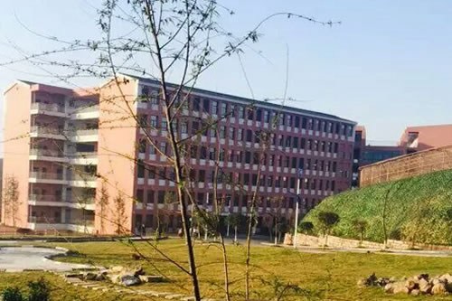 重庆艺术学校江北校区鸟瞰图