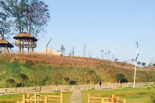 重庆艺术学校江北校区鸟瞰图