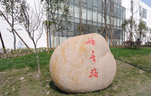 四川省商务学校校园石3