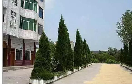 渠县静边职业中学校园风貌
