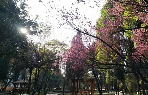 贵阳电子职业学校公园式校园