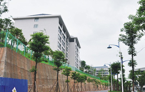 四川省绵阳农业学校(绵阳工程技术学校)校园2号路连接三系实训大楼