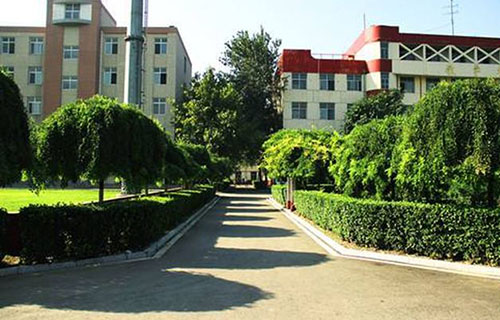 乐山市育贤中等职业学校校园小径