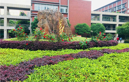 重庆市松树桥中学 校园三