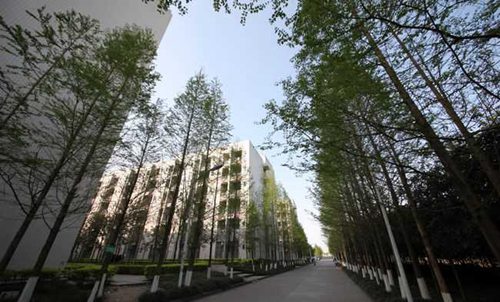 重庆电讯职业学院(五年制大专)拔河比赛