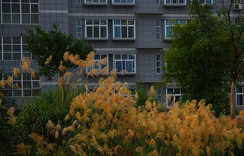 重庆工贸高级技工学校学校寝室