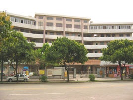 66.jpg
