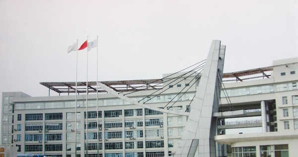 55.jpg