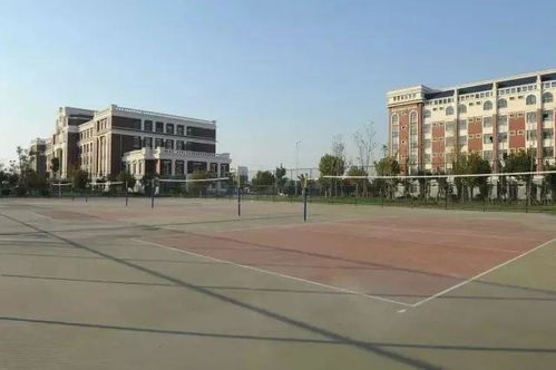 56.jpg