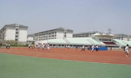 37.jpg