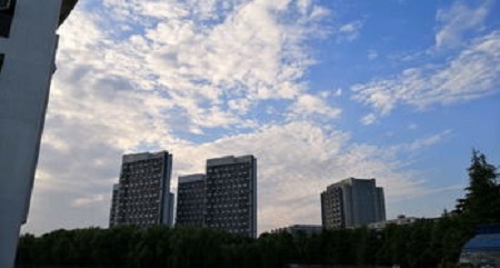 113.jpg