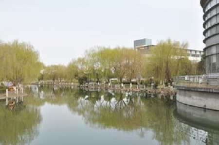 168.jpg