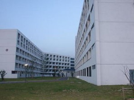 191.jpg