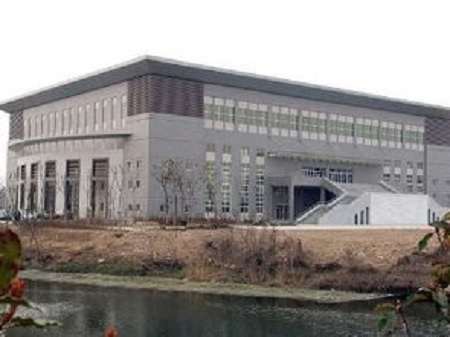 153.jpg
