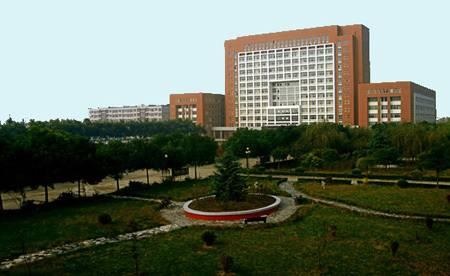 145.jpg