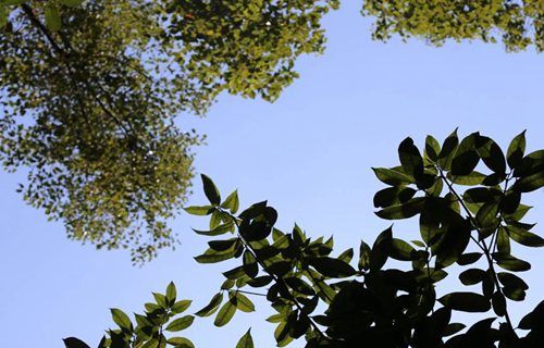 石嘴山艺术设计学校