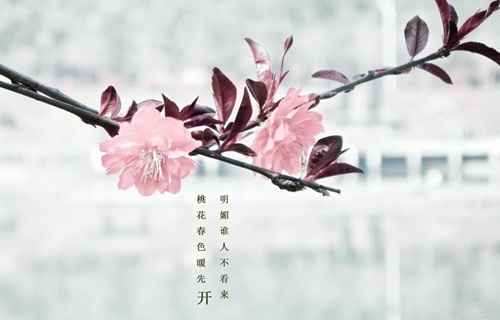 成都烹饪专业学校2021年招生简章