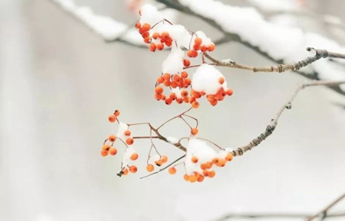 山西艺术设计学校