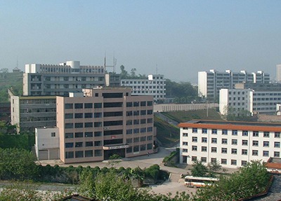 荣县职业技术教育中心远视图