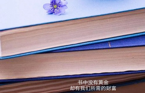 龙海艺术设计学校