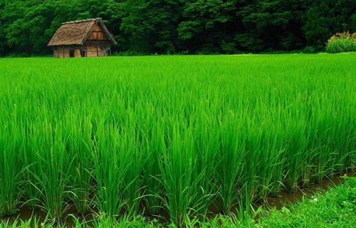 都匀旅游学校2021年招生简章