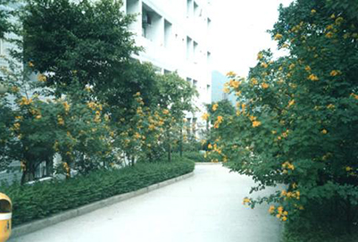 重庆沙坪坝区高铁学校学费多少钱呢?