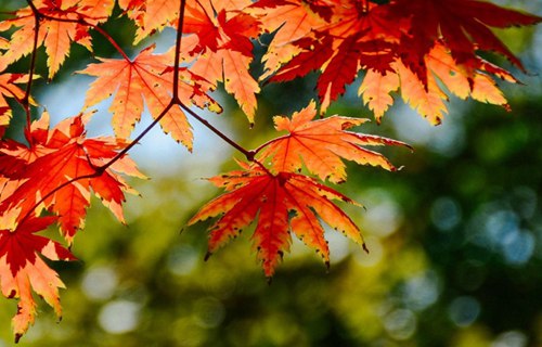 宝鸡艺术设计学校2021年招生简章