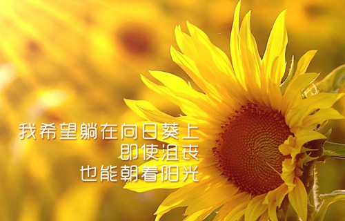 焦作机电机械学校2021年招生简章