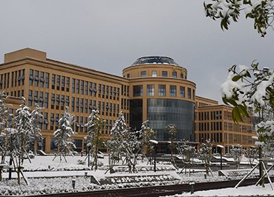 重庆电信职业学院校园冬景