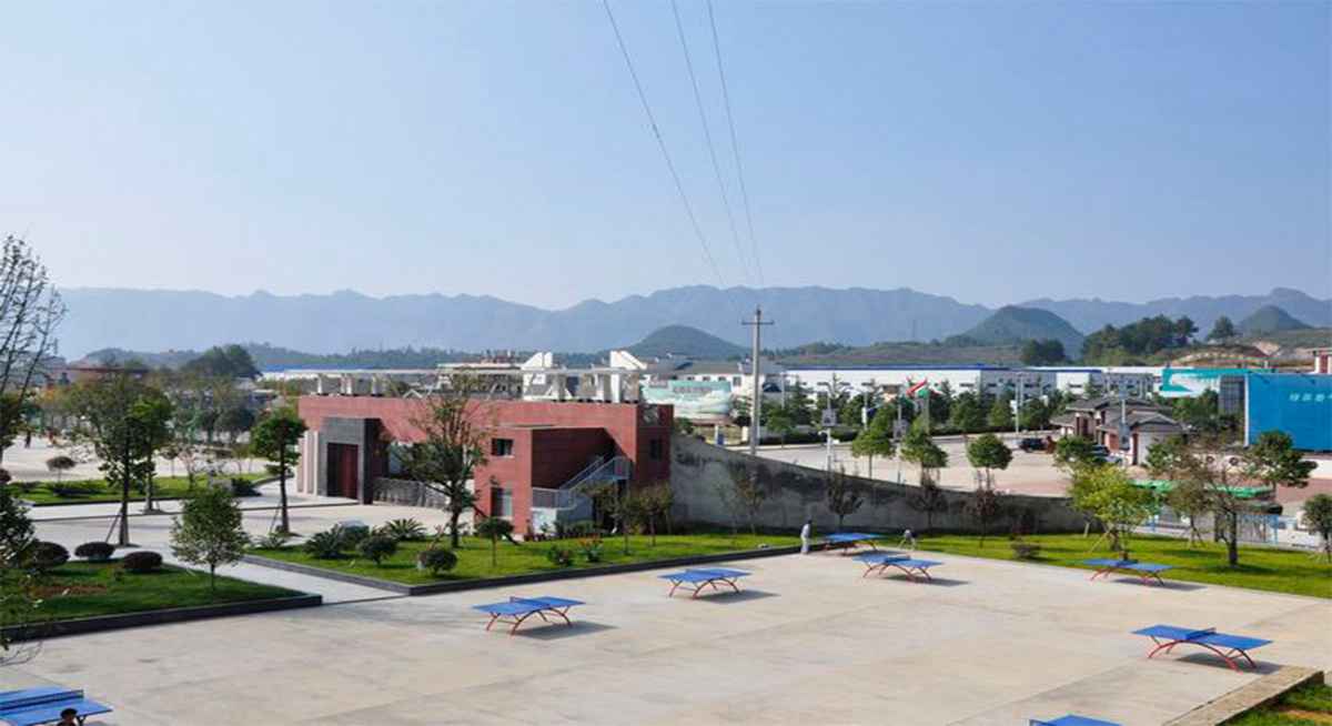 学校