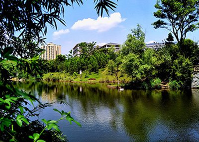 重庆能源职业学院校园风景