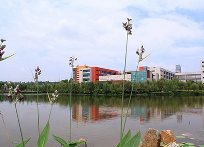 重庆工商职业学院学校湖水
