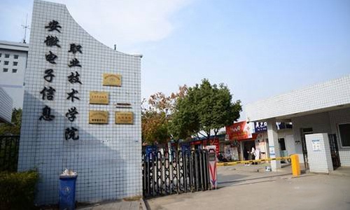 安徽电子信息职业技术学院