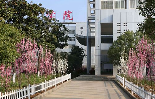 皖西卫生职业学院