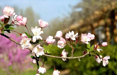 临沂电力技工学校
