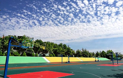 山东交通职业学院
