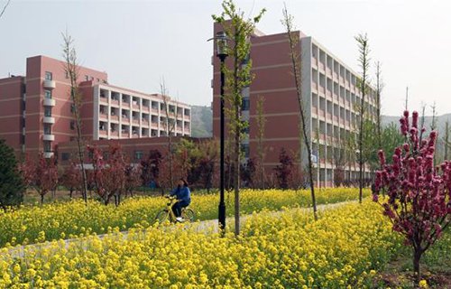 山东劳动职业技术学院