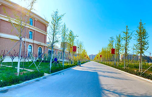 烟台黄金职业学院