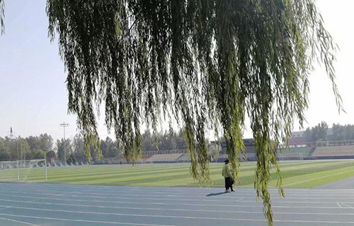 兰溪市兰荫职校