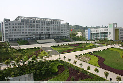 重庆沙坪坝区2019年有全日制普通高等专科学校吗
