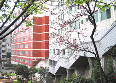 重庆市工业学校校园风景