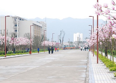 重庆交通职业学院玉兰大道