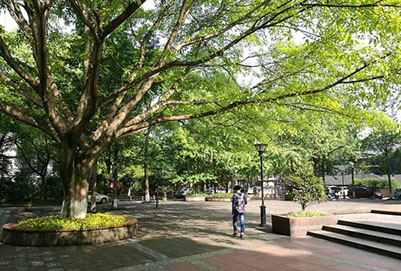 重庆市大足职业教育中心2019年计算机应用专业招生人数