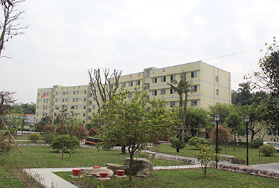 重庆高铁学校有哪些?