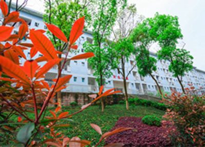 重庆财经职业学院校园一角
