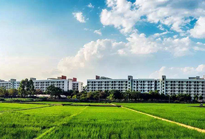 重庆市巫溪县职业教育中心2019年报名开设的有哪些专业呢？