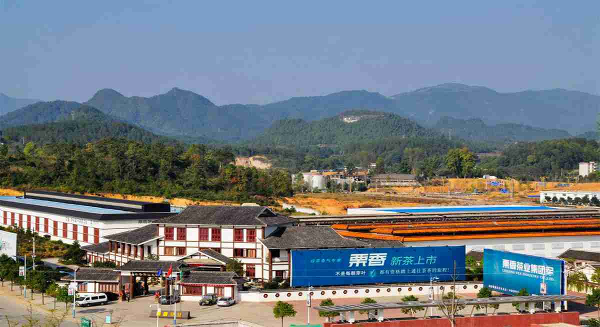 学校